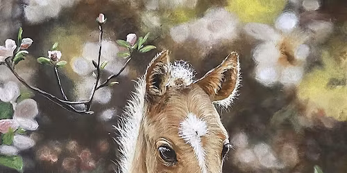 Baby Horse Sip & Paint