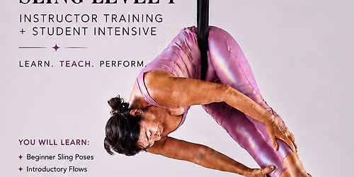SLING: Level 1 - Aerial Arts Academy