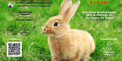 Pins for Paws Benefiting Bunnies Matter Rescue