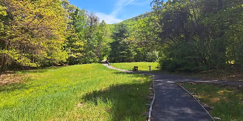 Saturday Guided Walk Series: Pomeroy Meadow Conservation Area 