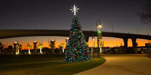 Clearwater's Bright and Beautiful Tree Lighting