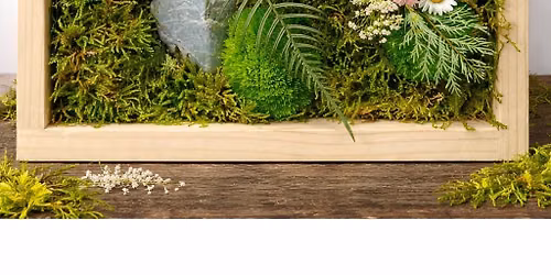 06\/13\/2026 Moss Wall at Hotel Vin's WineYard Grapevine - 11 a.m.!