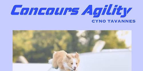 Concours Agility - Cyno Tavannes