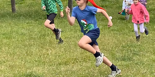 Elements - Wild Christmas