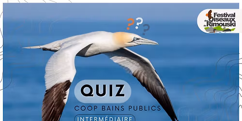 Quiz ornitho : niveau d\u00e9butants avertis et interm\u00e9diaire @BAINSPUBLICS