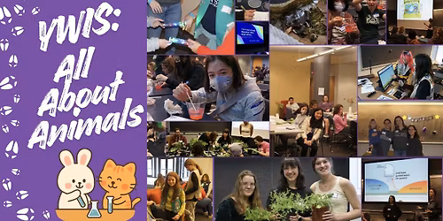 YWIS: All About Animals