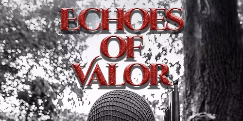 Echoes of Valor: A WWII Reenactment