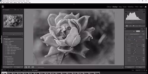 Adobe Lightroom \/ Lightroom Classic Editing 101