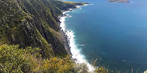 Wild South Coast Way Adventure