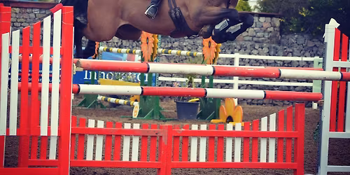 Gymnastics Gridwork - Indoors