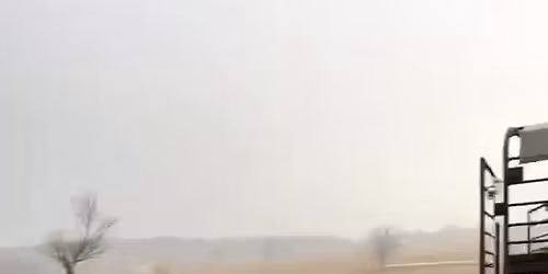 Spring Showdown Ranch Rodeo