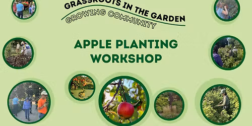 Planting Apple Trees Workshop