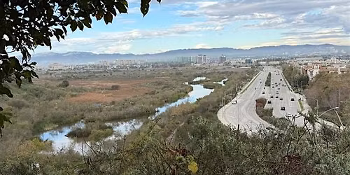 "Nature walk & Speed networking in the Wetlands"