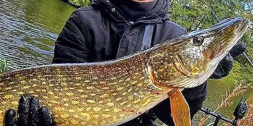 The Earl's End of Season Predator Match