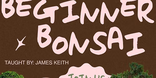 Beginner Bonsai Class at Above the Dirt Garden Shop
