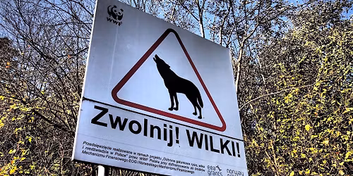 Le\u015bne szwenduro - Beskid Niski \ud83d\udeb4\u200d\u2640\ufe0f\ud83c\udfd4