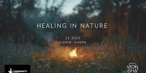 Healing in Nature - Dusk to Night: Herbal Fire & Forest Gathering