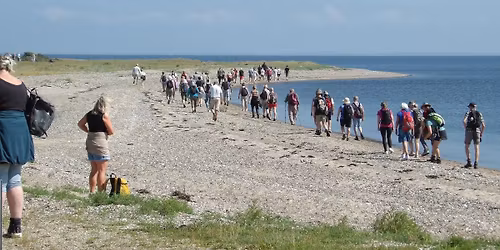 Liv\u00f8 Rundt March 2026 B