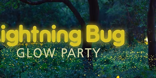 Lightning Bug Glow Party