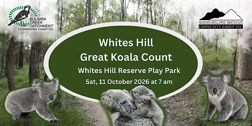 Great Koala Count \u2013Sunday 11th October, Whites Hill Reserve