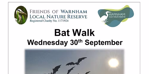 Bat Walk