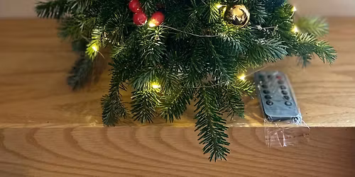 Beautifully Enchanted Mini Christmas Tree Workshop