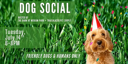 Dog Social