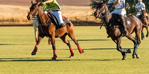 Sierra Foundation - Polofest 2026