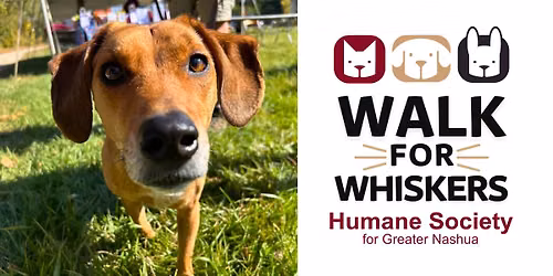 HSFN Walk for Whiskers