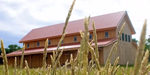 Whiskey Tango Foxtrot