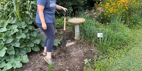 Veggie Gardening: Extending the Season & Winterizing the Garden