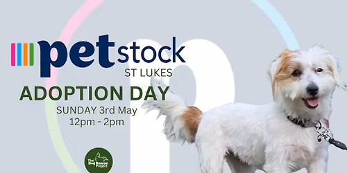 The Dog Rescue Project at PetStock St Lukes
