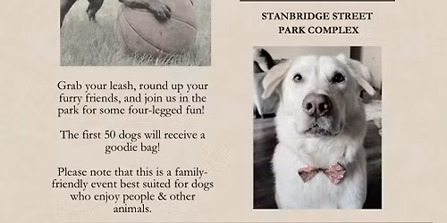 Furry Tales Animal Rescue Joins Pawty in the Park, East Norriton Township