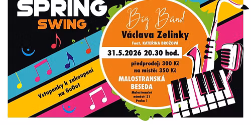 Spring Swing