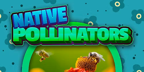 Conservation Class: Native Pollinators