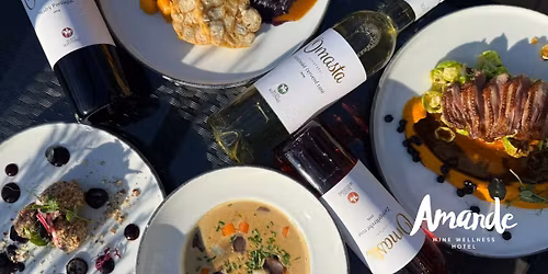 Svatomartinsk\u00e9 menu v Hotelu Amande