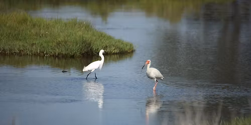 Free National Park Entrance Day