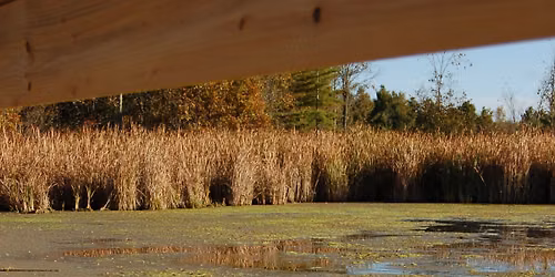 Nature Programs for Seniors - Marsh Dipping