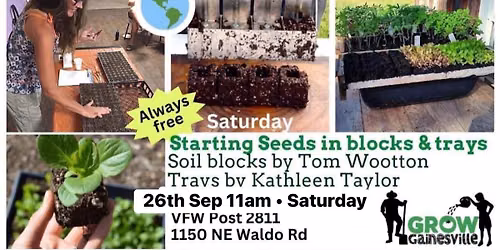 Starting Seeds in Blocks and Trays