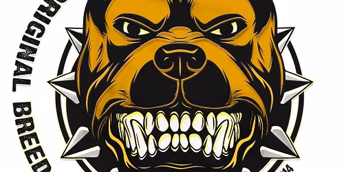 Original Breed Recordings And Friends Present Basement sessions