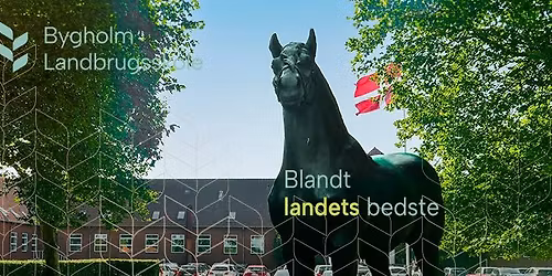  International aften p\u00e5 Bygholm 