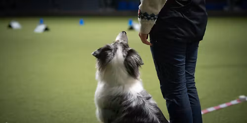 Fri ved fot: pirk og detaljer med Selina B\u00f8