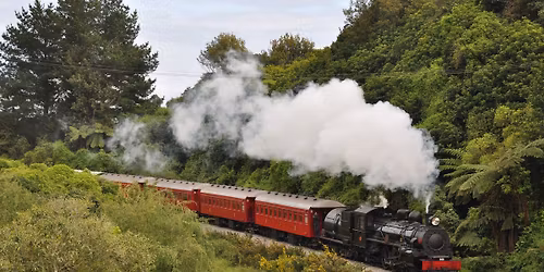 Napier's Winter Deco Rail Experiences