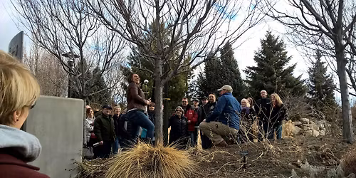 Immersive Learning: Pruning