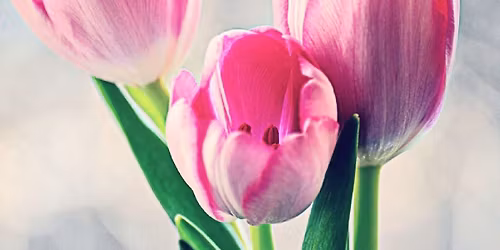 \u201c\u041f\u0440\u043e\u043b\u0435\u0442\u043d\u043e\u201d