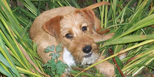 Mediumship Group , Share and Connect