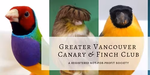 GVCFC Annual Bird Show