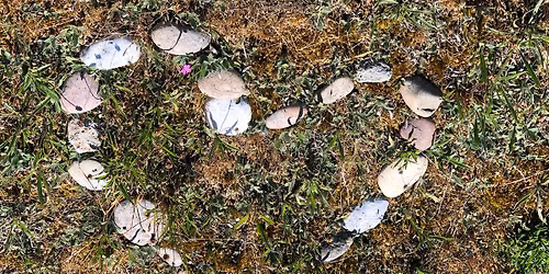 Introduktion til familieopstilling