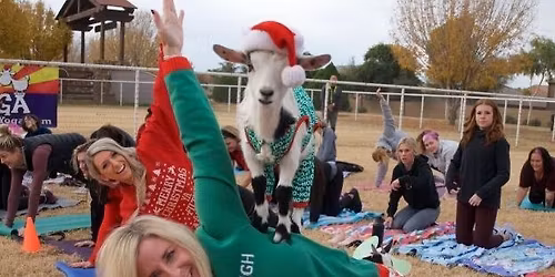 Santa & Goat & Alpaca Yoga \ud83c\udf84\ud83d\udc10 12\/20\/2025 10:00am