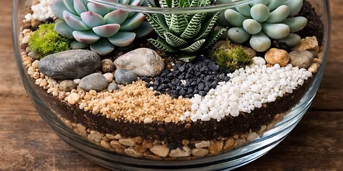 SECRET GARDEN TERRARIUM WORKSHOP \u2728\ud83c\udf35